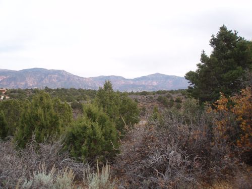 SOUTHERN UTAH REAL ESTATE #33585