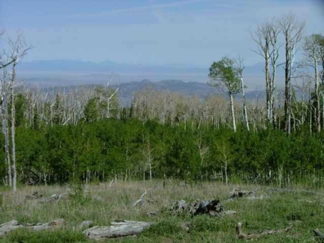 PAROWAN UTAH REAL ESTATE