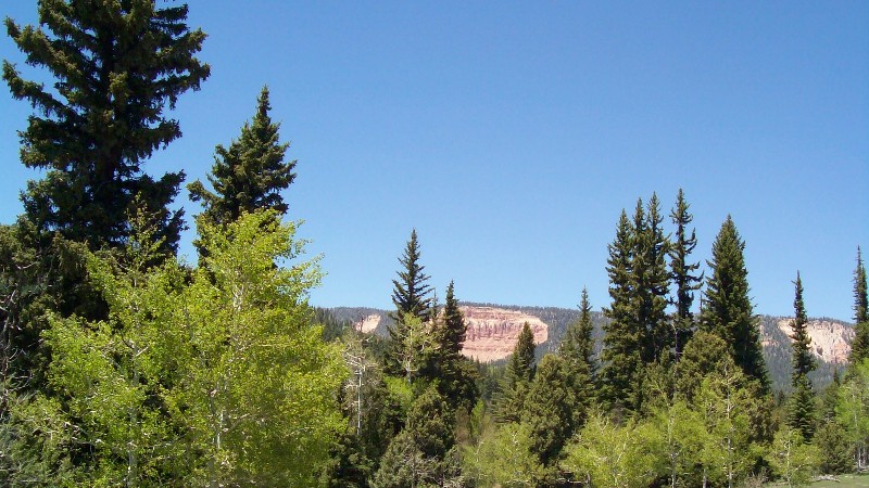Priced to sell Pink Cliff views